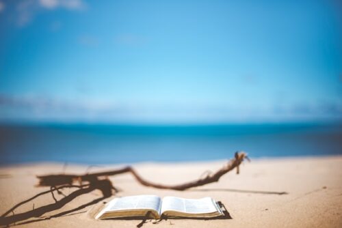 英語多読】小学生低学年にオススメ！娘も息子もハマった洋書4選